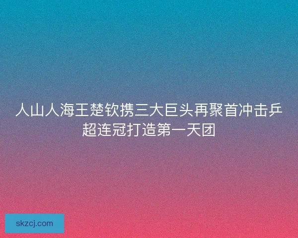 人山人海王楚钦携三大巨头再聚首冲击乒超连冠打造第一天团